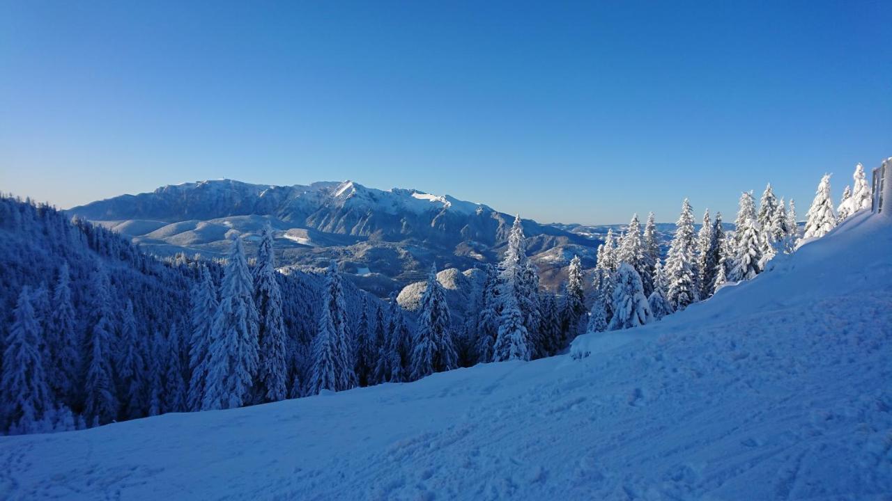 Apartament 2706 Alpin Resort, Etaj 7, Poiana Brasov Exterior foto