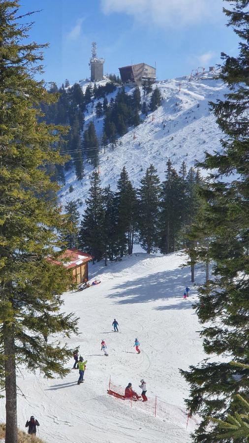 Apartament 2706 Alpin Resort, Etaj 7, Poiana Brasov Exterior foto